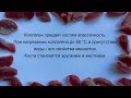 Рецепт сушки мяса в дегидраторе для хорька