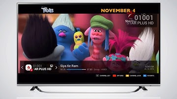 FORMULER IPTV MYTVOnline Single Channel EPG720P