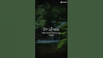 قران كريم بصوت جميل#اكسبلور #يارب_فوضت_امري_اليك#اكسبلور #foryou #love #اكسبلور #المصحف #foryoupag #