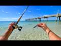 3 DAYS OF PIER FISHING MADNESS!!!