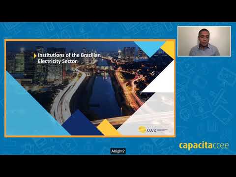 Overview of Brazilian