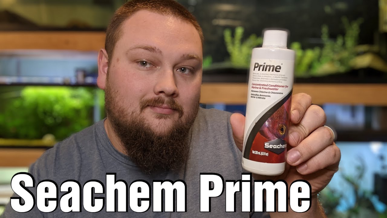 How Much Seachem Prime For 10 Gallon