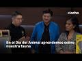 APRENDEMOS SOBRE NUESTRA FAUNA EN EL DÍA DEL ANIMAL