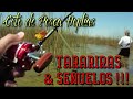 TARARIRAS!!! | Pesca con señuelos en superficie y profundidad | Pesca Gaucha