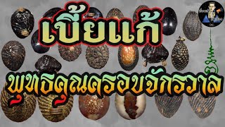 “เบี้ยแก้” | พุทธคุณครอบจักรวาล | แก้อาถรรพ์กันมนตร์ดำ | กันคุณไสยเข้าตัว..!!