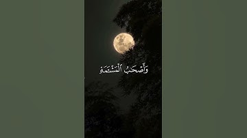 سورة الواقعة .... الشيخ فارس عباد ❤🍃