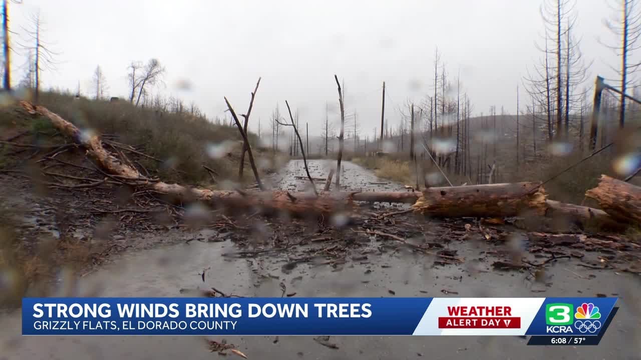 Strong winds bring down trees in Grizzly Flats - YouTube