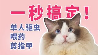 一秒搞定,单人驱虫喂药剪指甲,新手养猫手册九 by 猫奴补习班 745 views 2 years ago 40 seconds