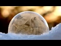 Bubbles Freezing in Slow Motion