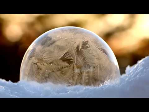 Bubbles Freezing in Slow Motion