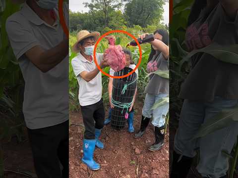 Catching Fish With Meat!? Daughter Didn't Believe Grandpa 🤯🎣