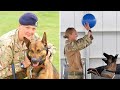 People Are Outraged At The Government’s Plan For These 2 Hero Army Dogs