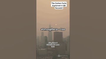 The Carbon Cycle Explained in 60 Seconds! #facts #biology #science #carboncycle