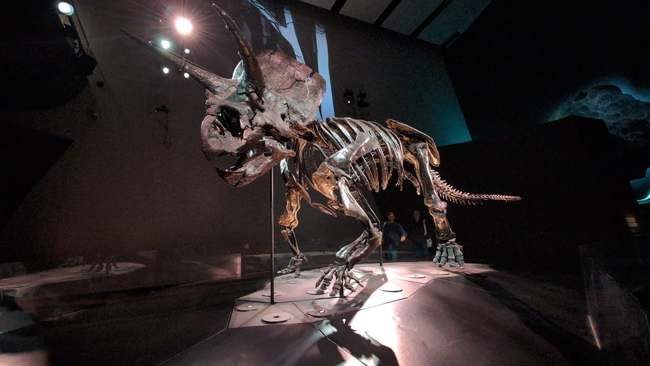 Brisk Stroll through Carlton Gardens to Visit the Melbourne Museum
