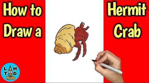 How to Draw a Hermit Crab Step by Step