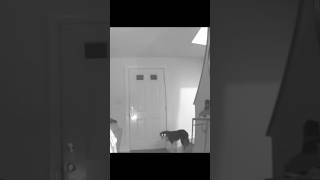 This Skinwalker caught on camera in Ohio is terrifying