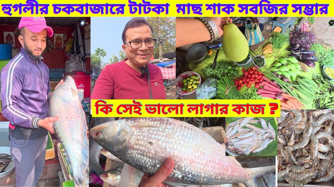 হুগলীর চকবাজারে টাটকা  মাছ শাক সবজির সম্ভার। Fresh Fish Market | Chowkbazar, Hooghly. My Experience