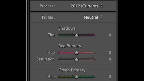 Creating Camera Calibration Custom Camera Profiles in Adobe Light Room