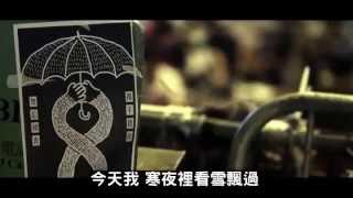 民主不是夢想 越過荊棘 才能抵達--蘋果日報 20141104