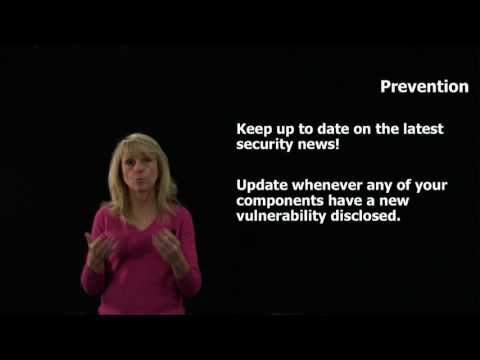 OWASP Top 10: A9 Using Components w/ Known Vulnerabilities & A10 Unvalidated Redirects and Forwards