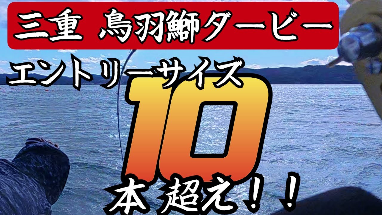 鳥羽鰤ダービー｜鰤ガチャ炸裂…船中エントリー10本超え