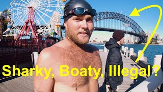 Harry Bryant's Epic Swim Across Sydney Harbour With A Steak Attached To His Leg!
