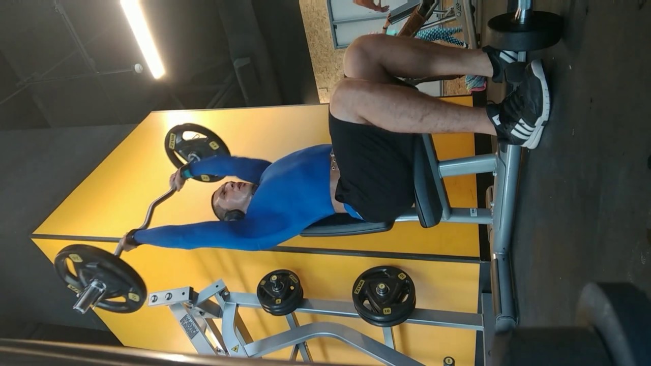 Seated Ez bar shoulder press. YouTube