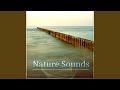 Nature sounds sea