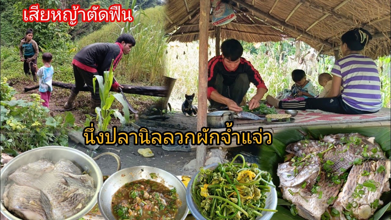  เสียหญ้าที่ทำแปลงผัก ตัดฟืนมากองไว้ แล้วทำกับข้าวเที่ยง นึ่งปลานิลลวกผัก ตำน้ำพริกกะปิ-บ่าวยืง