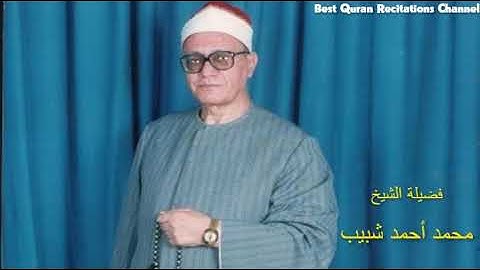الشيخ محمد أحمد شبيب - ما تيسر من سورة النمل