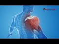 Nations best regenerative shoulder therapies  regenorthosport