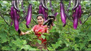 Life skill - smart woman cooking eggplant for eating - eggplant eating delicious 005