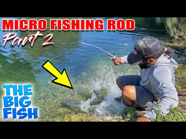 MICRO FISHING ROD CATCHES BIG Fish!!!! 