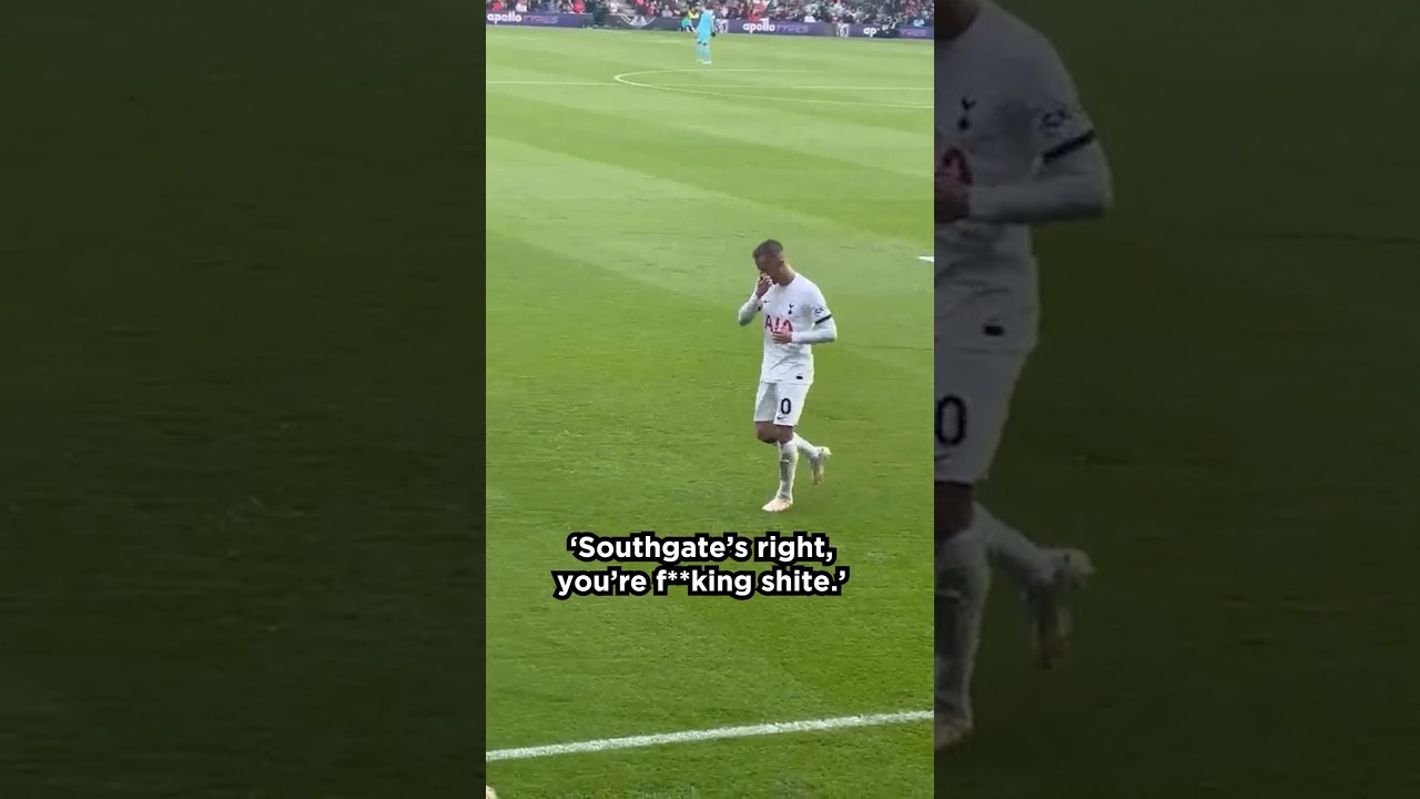 James Maddison had the best response to these Bournemouth fans... image