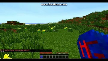 The Hunger Games Mod Review