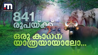 841 രൂപയ്ക്ക് ഒരു കാനന യാത്രയായാലോ.. വന്യ മൃ​ഗങ്ങൾ വിഹരിക്കുന്ന കാട്ടിലൂടെ സാഹസിക യാത്ര | Bandipur