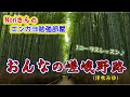 No.117『おんなの嵯峨野路』(津吹みゆさん)【Noriさんの1コーラスレッスン】