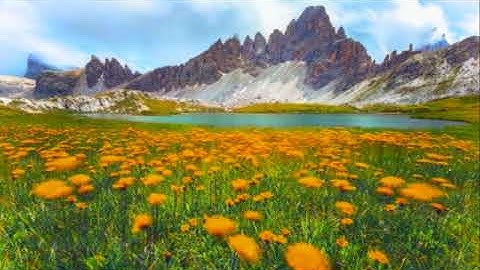 القارئ نبيل الرفاعي || سورة النبأ || Nabil Ar-Rifai || حالات واتساب قرآن || ستوريات قرآن