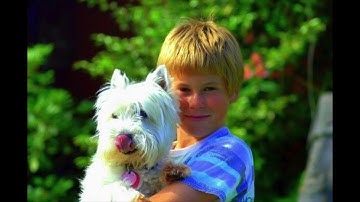 The Life of George Cantwell