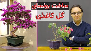 تکنیک های ساخت یک بونسای پرگل، بونسای گل کاغذی | bougainvillea bonsai