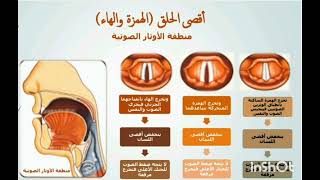 مخارج الحروف تجويد مخرج الحلق و حروفه الست وتأثير الأوتار الصوتية على خروج الصوت والنَفس