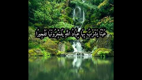 (إِنَّ الْأَبْرَارَ يَشْرَبُونَ مِنْ كَأْسٍ كَانَ مِزَاجُهَا كَافُورا) القارئ محمد صديق المنشاوي
