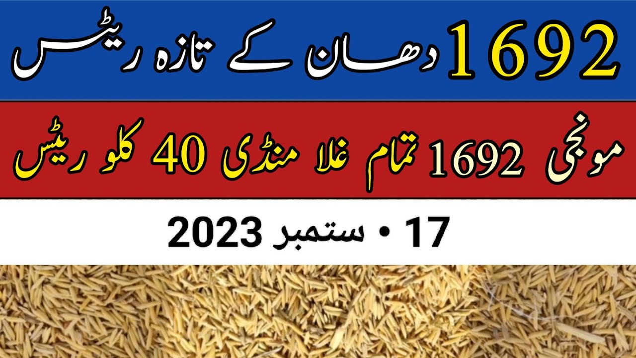 Dhan 1692 Rate today 2023 | aj 1692 monji ka rates | dhan 1692 galla mandi rates | monji price today