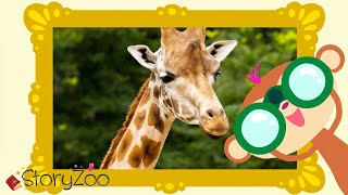 StoryZoo | StoryZoo in The Zoo | Learn About The Giraffe! | Educational Videos for Children
