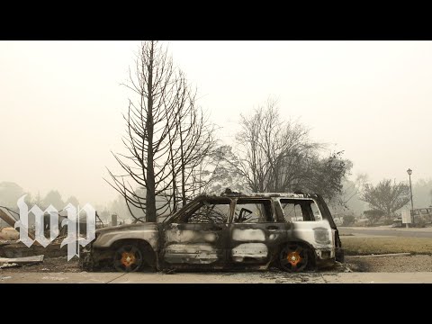 'No home to go to': Oregon residents devastated by historic blazes