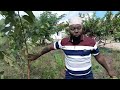 LEJESHA UTAJILI WAKO KWA DAWA HII LEJESHA UTAJILI WAKO KWA DAWA HII