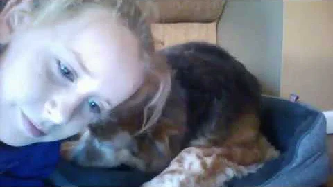 this is my dog!!!!!!!!!!!!!...