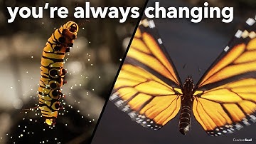 This beautiful song will INSPIRE you GROW INTO the YOU you want to be