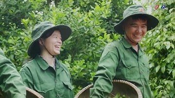 Rực rỡ sắc xuân trên cao nguyên Đắk Lắk| Truyền hình Đắk Lắk