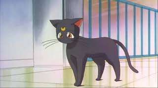Sailor Moon Movie: Hearts in Ice ending ( DIC Dub)